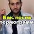 Бак посев спермограммы