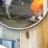 Bombshell Arrest In Massive New Orleans Jail Break