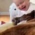 Gentle Guardians Dogs And Their Tender Love For Children K9 Dog Pets Germanshepherd Malinois