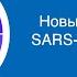 Михаил Щелканов Новый коронавирус SARS CoV 2 факты и фейки Вилла Папирусов