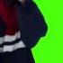 PHARAOH BLACK SIEMENS GREEN SCREEN