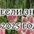 Танцуй если знаешь этот тренд 2025 году