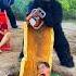 A Ferocious Gorilla Monster Attacks 2 Beautiful Brave Girls And A Poor Scared Old Man In A Pit