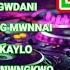 New Bodo DJ Songs Bodo Dj Collection Songs New Bodo Remix Songs Bodo DJ