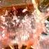 How A Fire Sprinkler Works At 100 000fps The Slow Mo Guys