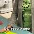 Как сделать один из видов Бельевого шва