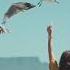 Xad Birds Stavros Music Selection