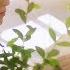 ASTRO 아스트로 1st Album All Light Concept Film JINJIN