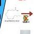 How Does Aspirin Work Pharmacology