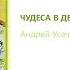 Чудеса в Дедморозовке Андрей Усачев Обзор