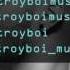 TroyBoi Sensei
