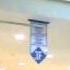 MP3 Spy Cam In Door AVI