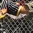 FRIES HEAT UP IN SAN DIEGO Team Rally Fries 11U Spring Season 37