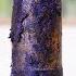 Satisfying Makeup Repair Transform Your Old Makeup Product Collection 414