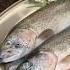 Easy Steamed Trout With Garlic Butter Sauce 30 Min Dinner Recipe Easycooking Easyrecipe Cooking