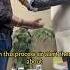 Live Reiki Healing Healing Reikihealing Reikimaster Trending Occultknowledge