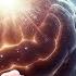 Donald Hoffman S Theory On Consciousness The Greatest Mystery In The Universe