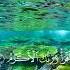 Iqra Bismi Tilawat Tilawatquran Islamicvideo Youtubeshorts Vairalvideo C
