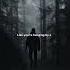 Numb Little Bug Em Beihold Lyrics Aesthetic Whatsapp Status English Songs Slowed Lyrics