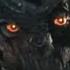 Голоса трансформеров Transformers Rise Of The Beasts