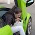 Rich Couple Getting Out Their Lamborghini At Hotel Paris Monaco Luxury Trending Lifestyle Fyp