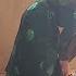 A House In Chaos An Unidentified Attack On Home Nemat