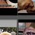 Cute Animals PT 275 Trinding Viralvideos Funny Animals