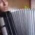 Вальс амурские волны Accordion баян