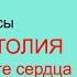 Экстрасистолия Ответы на вопросы