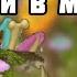 Как быстро прокачиваться в племени в My Singing Monsters Всё по племенном острове в Msm