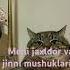 Bts Official Bighit Mushuklar Duet Rekkkkkk Due Rek