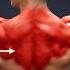 The ONLY 2 Exercises You Need For A Thick Back