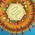 Herpes Simplex Virus Replication Steps Microbiology Animations