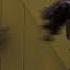 Romain Virgo Dutty Man Official Video