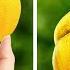 Fantastic Gardening Tips And Hacks You Ve Never Seen Before