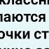 Как Вовочка с Одноклассницей Проснулся Новый Сборник Свежих Смешных Жизненных Анекдотов