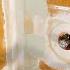 Shower Wall Waterproofing Tips Shorts