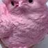 FUFUSQUISHY ASMR Chicks