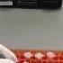 DNA Extraction Protocol Part 1