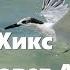 Абрахам Хикс Лучший совет Абрахама Эстер Хикс
