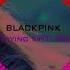 CONCERT SOUND BlackPink 블랙핑크 Playing With Fire 불장난 R