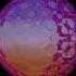 Morgin Madison Sun Walker