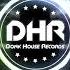 Fitzer Electricity DHR