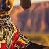 Jax The DJ Sunset Tribal House In The Desert Uluru Vibes Wild Moves