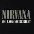 Nirvana You Know You Re Right Remastered