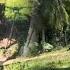 YOUNG FEMALE FARMER BUILDS 15000 Usd DREAM GOAT HOUSE CABIN LUMBER IS NEEDED