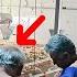 Strange Men With The Grandma S Family What S The Story