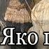 Если бы мы знали что будет впереди то Отец Андрей Ткачев
