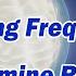 Healing Frequency For Dopamine Receptors Spooky2 Rife Frequency Healing