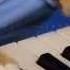 Keyboard Cat The Soul Of A Cat